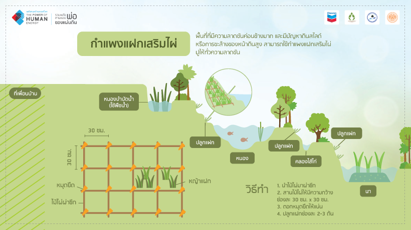 เอกสารกำแพงแฝกเสริมไผ่